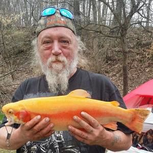 Meet your Posher, Rick